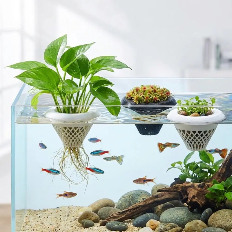 Planted Aquarium Jar - กระถางปลูกพืชน้ำแบบลอยได้, ที่วางต้นไม้น้ำแบบ 3 มิติ, กระถางปลูกพืชไฮโดรโปนิกส์สำหรับตู้ปลา, กระถางลอยน้ำสำหรับตู้ปลา