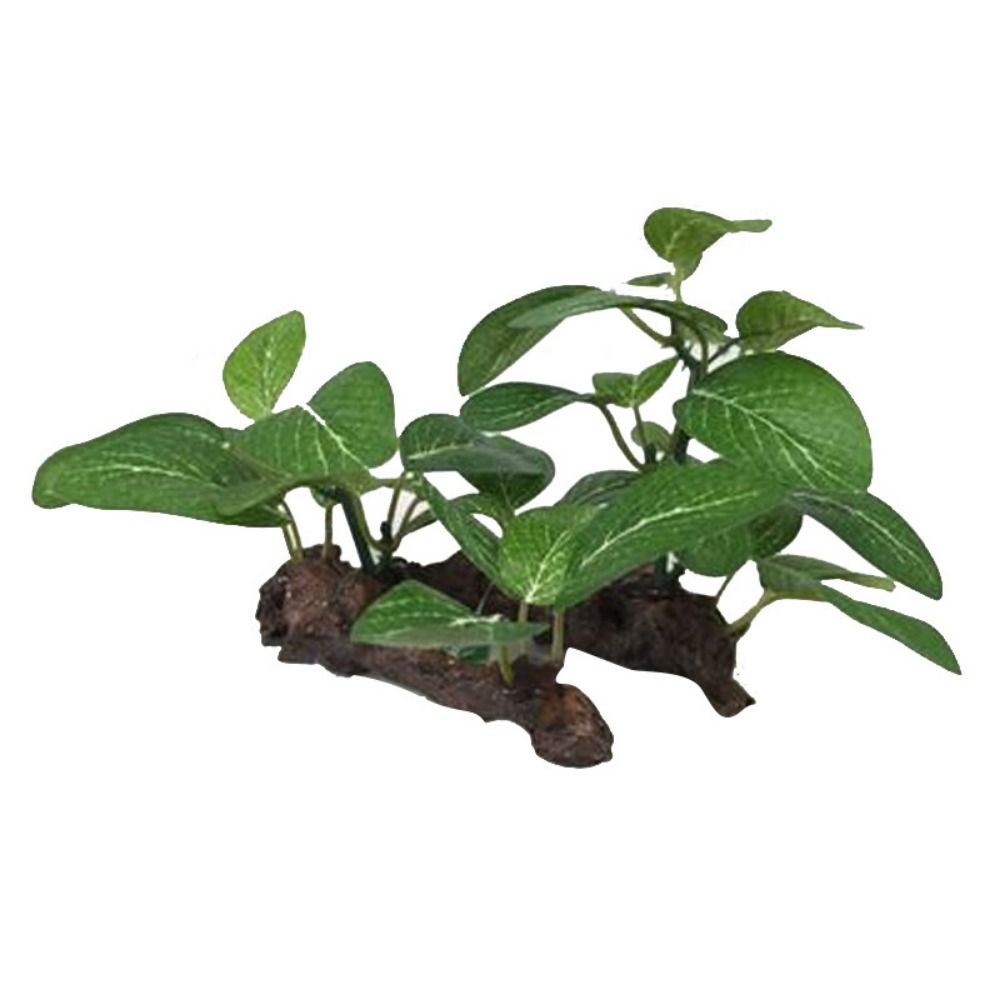 Planted Aquarium Jar - พลาสติกตกแต่งตู้ปลา ต้นไม้ประดิษฐ์เสมือนจริง ต้นไทร ต้นไม้ในตู้ปลา ของตกแต่งกระถางเต่า