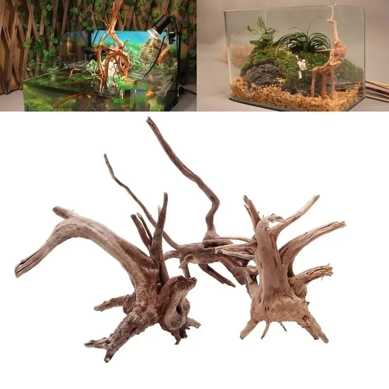 Planted Aquarium Media - ต้นไม้ธรรมชาติลำต้นไม้ดริฟท์วู้ดตู้ปลาตู้ปลาตู้ปลาตู้ปลาตู้ปลาที่รากกระบอกพืชไม้เครื่องประดับตกแต่งสำหรับพืชในตู้ปลา