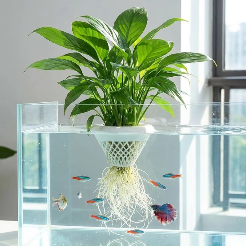 Planted Aquarium Jar - กระถางปลูกพืชน้ำแบบลอยได้, ที่วางต้นไม้น้ำแบบ 3 มิติ, กระถางปลูกพืชไฮโดรโปนิกส์สำหรับตู้ปลา, กระถางลอยน้ำสำหรับตู้ปลา