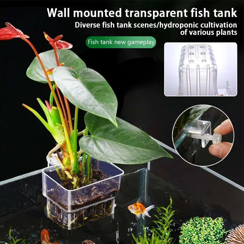 Aquarium Plant Holder - กระถางแขวนติดผนังสำหรับปลูกพืชน้ำในตู้ปลา ตะกร้าปลูกพืชน้ำในตู้ปลา กระถางปลูกพืชน้ำในตู้ปลา