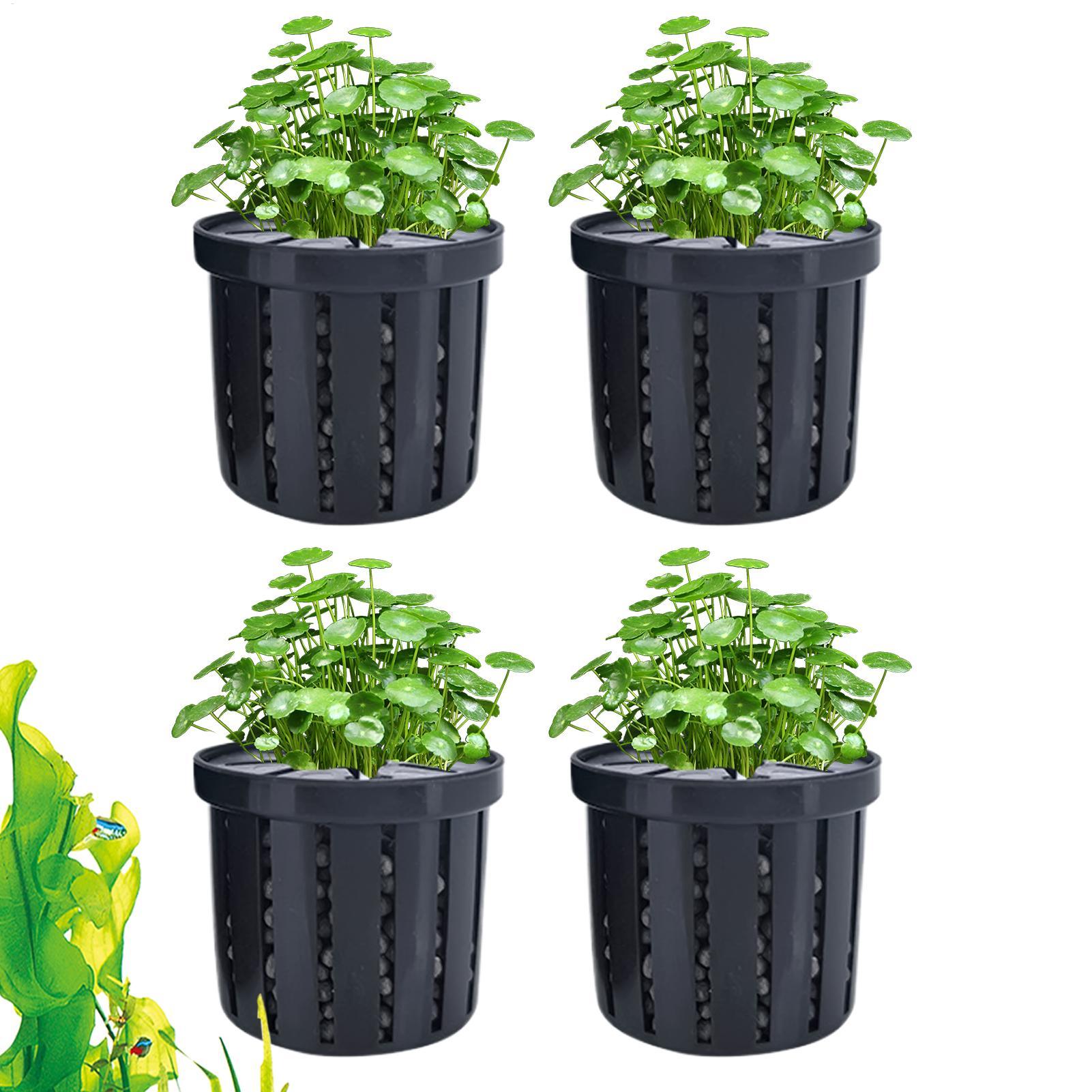 Aquarium Plant Holder - กระถางปลูกต้นไม้ในตู้ปลา 4 ชิ้น พร้อมฟองน้ำและจุกดูดสุญญากาศ จมลงไปเองได้ เหมาะสำหรับตู้ปลาในบ้าน