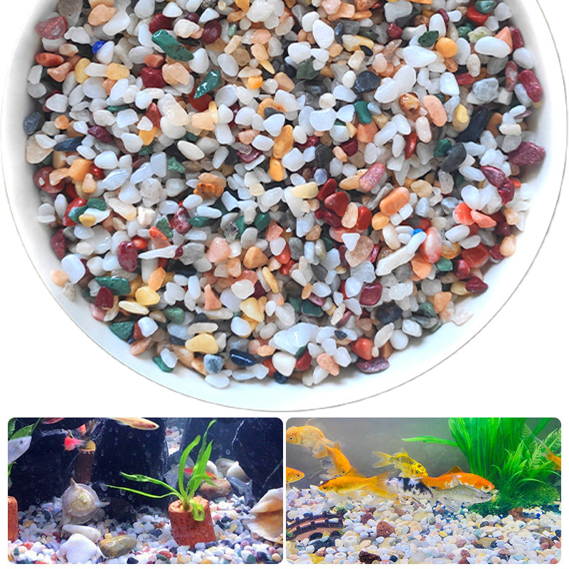 Planted Aquarium With Gravel - หินกรวดธรรมชาติ 200~1000 กรัม ไมโครแลนด์สเคป การตกแต่งสวน ตู้ปลา
