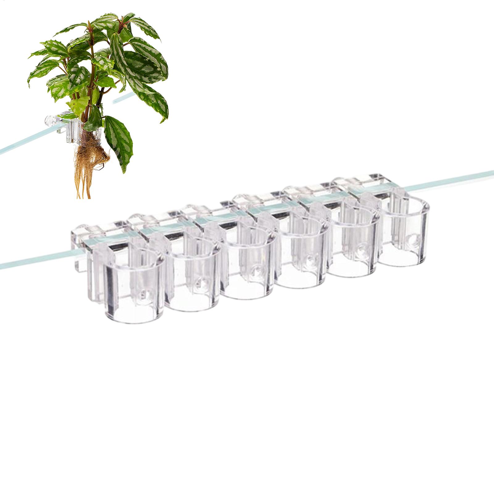 Aquarium Plant Holder - กระถางปลูกต้นไม้ในตู้ปลาขนาดเล็ก 6 ชิ้น ที่วางต้นไม้ในตู้ปลา ถ้วยรองรับต้นไม้ในตู้ปลา ที่ให้อาหารปลาในตู้ปลา