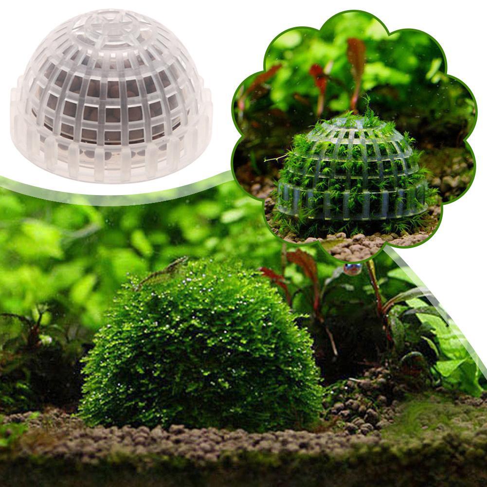 Aquarium Plant Red - อุปกรณ์ตกแต่งตู้ปลา ที่วางมอสบอลสำหรับตู้ปลา บ้านกุ้งแดงคริสตัล ของตกแต่งตู้ปลา อุปกรณ์กรอง