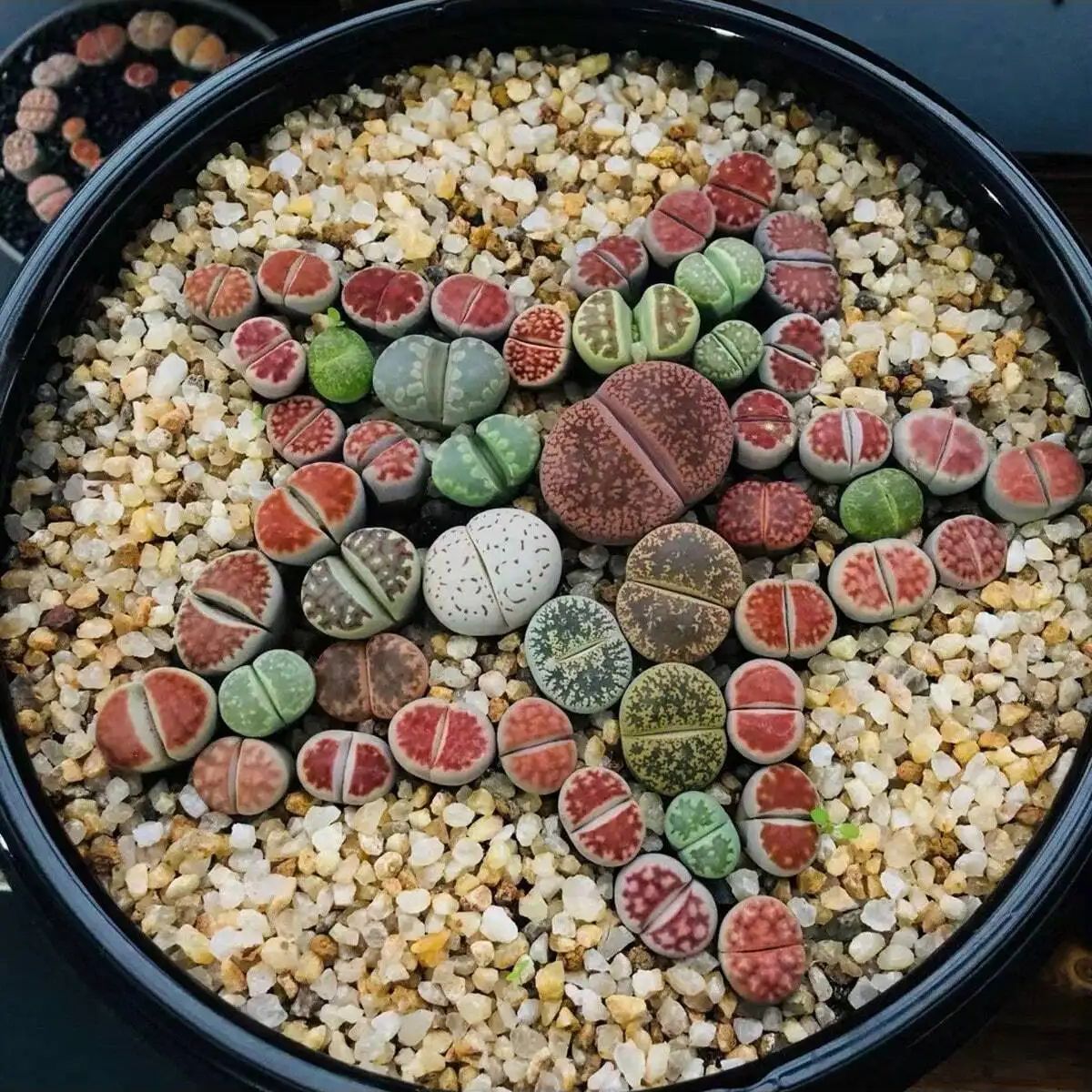 1 pc-250g คริสตัลธรรมชาติกรวดห - Planted Aquarium With Gravel บทวิจารณ์และราคา