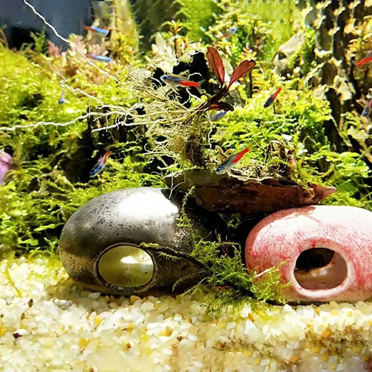 1 pc-250g คริสตัลธรรมชาติกรวดห - Planted Aquarium With Gravel บทวิจารณ์และราคา