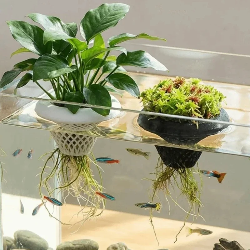 กระถางปลูกพืชน้ำแบบลอยได้, ที่ - Planted Aquarium Jar บทวิจารณ์และราคา