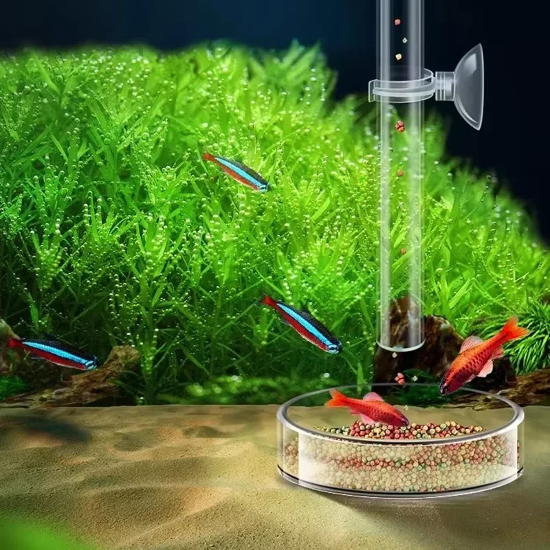 ชุดหลอดป้อนอาหารแก้วสำหรับตู้ป - Aquarium Plant Red บทวิจารณ์และราคา