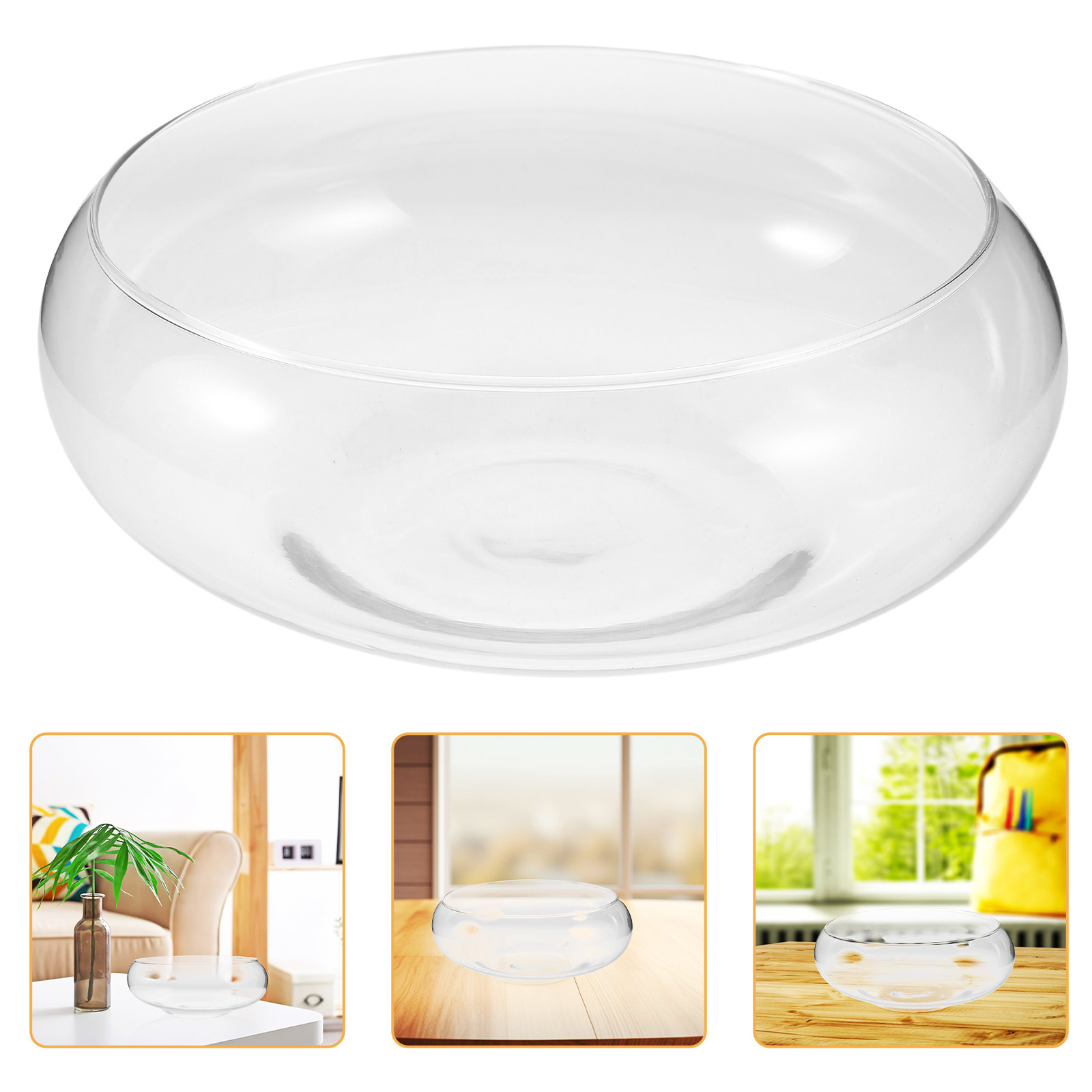 แจกันแก้วปลูกพืชไฮโดรโปนิกส์ ก - Planted Aquarium Jar บทวิจารณ์และราคา
