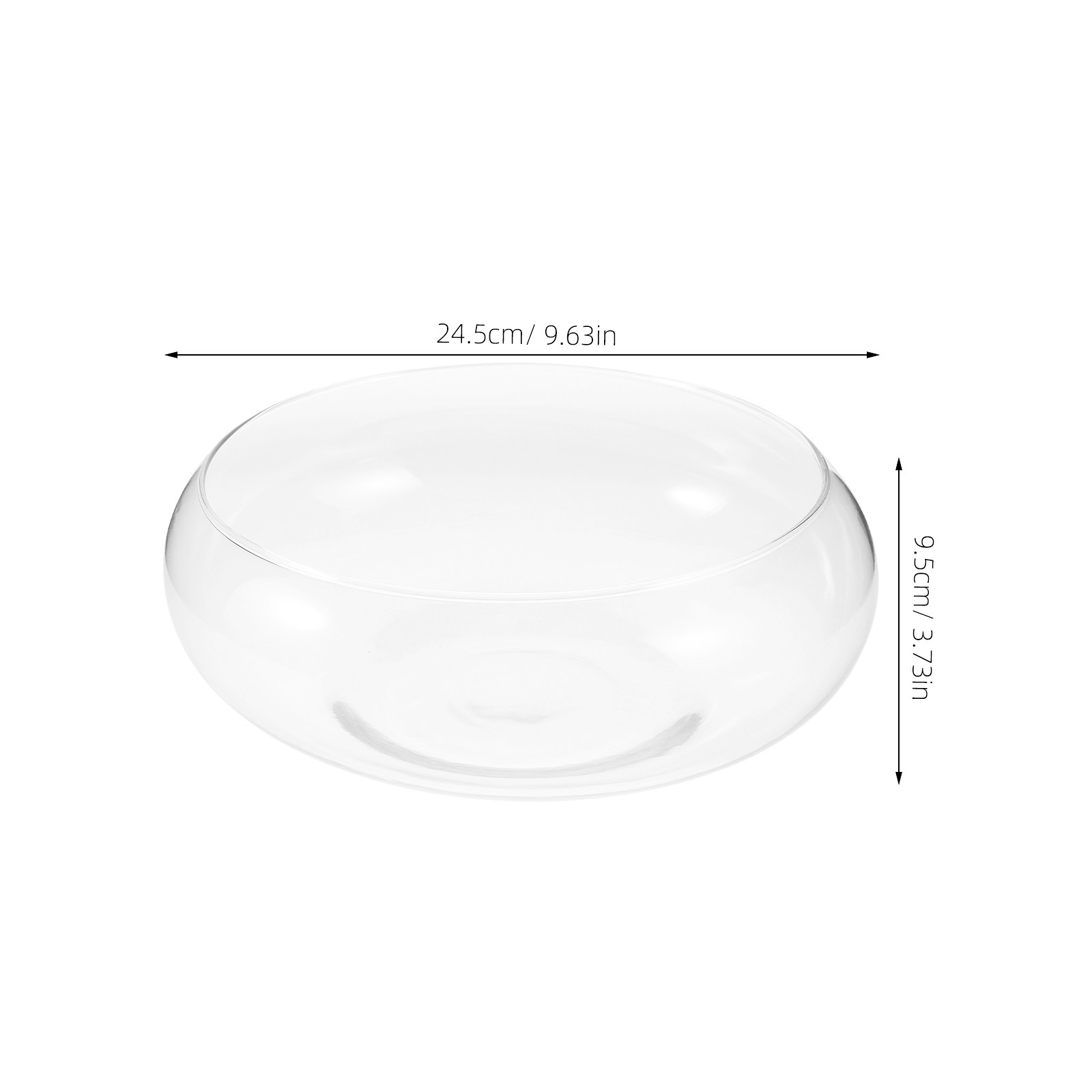 แจกันแก้วปลูกพืชไฮโดรโปนิกส์ ก - Planted Aquarium Jar บทวิจารณ์และราคา