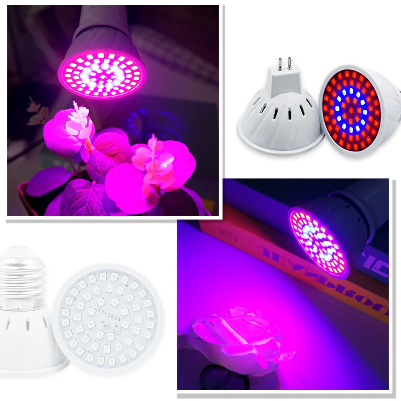 Phytoโคมไฟเต็มสเปกตรัมLED Grow - Led Planted Tank Light บทวิจารณ์และราคา