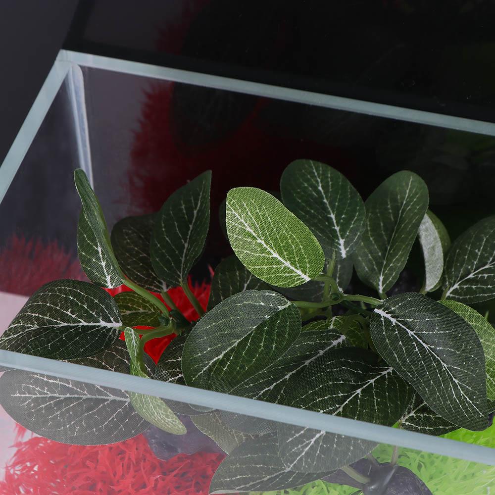 ต้นไม้ประดิษฐ์จำลองเสมือนจริงส - Planted Aquarium Jar บทวิจารณ์และราคา