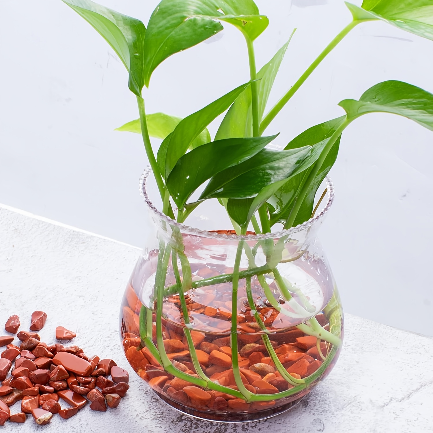 หินแจสเปอร์สีแดง - ชิ้นส่วนควอ - Aquarium Plant Red บทวิจารณ์และราคา