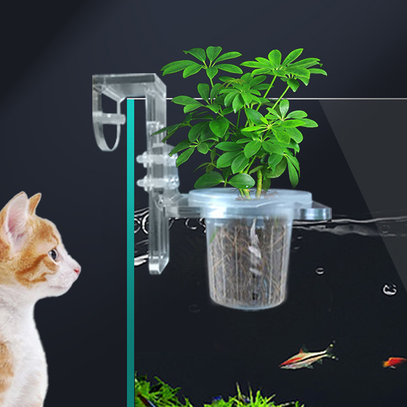 ถังปลาปลูกถ้วย Hydroponic สนับ - Aquarium Plant Holder บทวิจารณ์และราคา