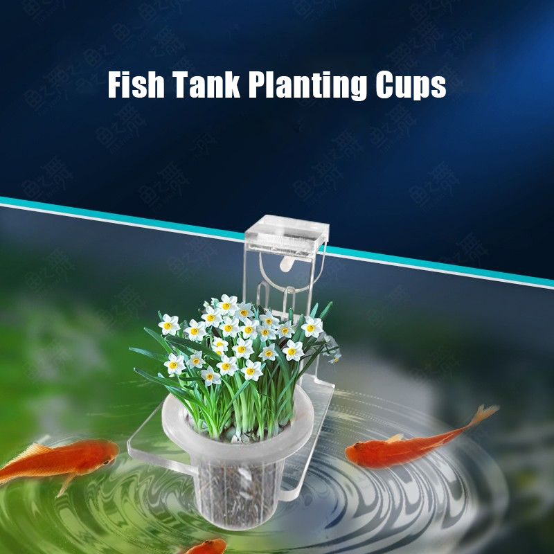 ถังปลาปลูกถ้วย Hydroponic สนับ - Aquarium Plant Holder บทวิจารณ์และราคา