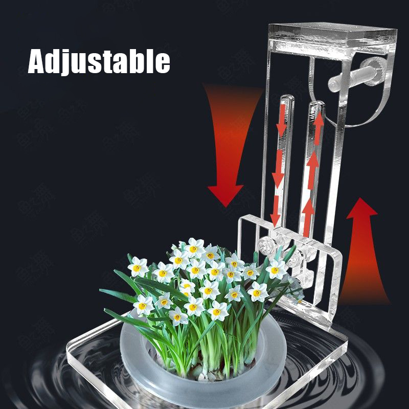 ถังปลาปลูกถ้วย Hydroponic สนับ - Aquarium Plant Holder บทวิจารณ์และราคา