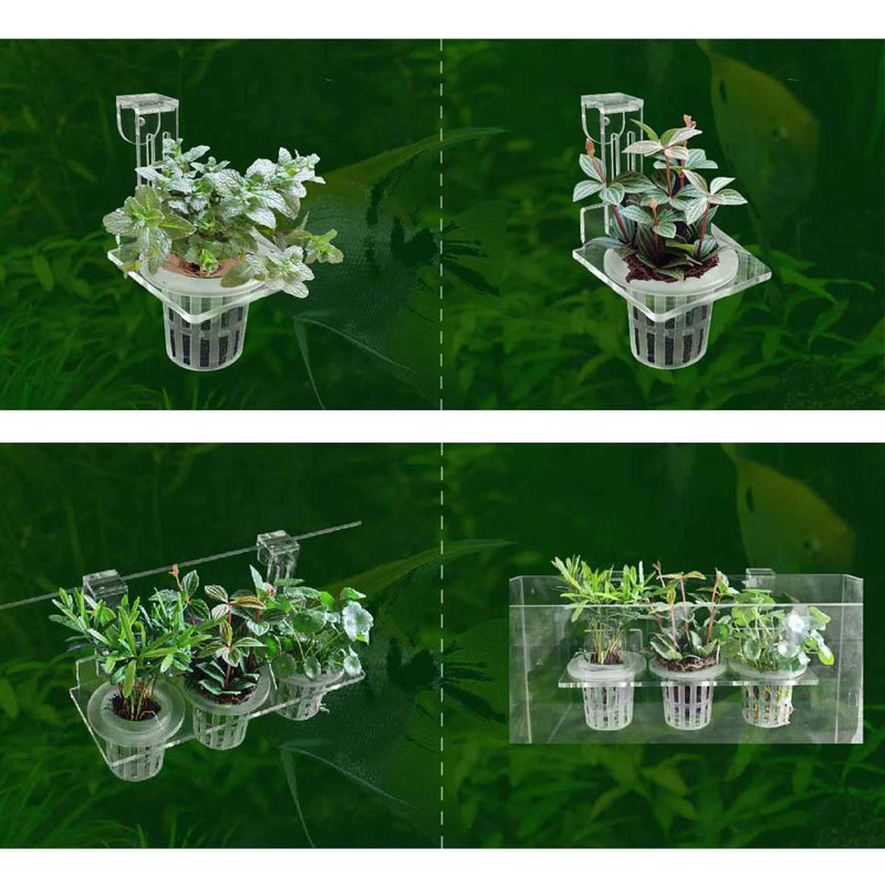 ถังปลาปลูกถ้วย Hydroponic สนับ - Aquarium Plant Holder บทวิจารณ์และราคา