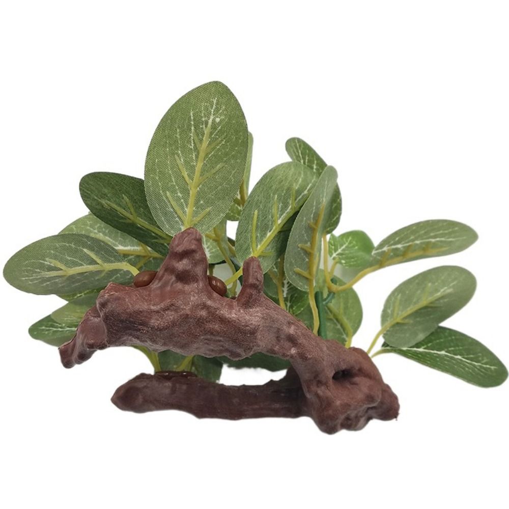 พลาสติกตกแต่งตู้ปลา ต้นไม้ประด - Planted Aquarium Jar บทวิจารณ์และราคา