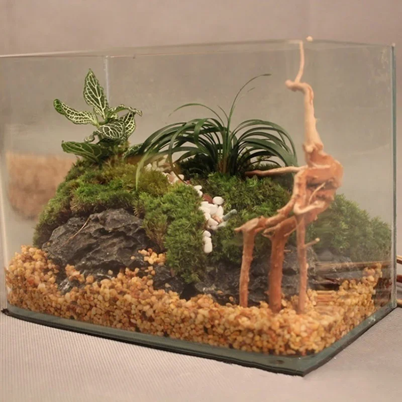 ต้นไม้ธรรมชาติลำต้นไม้ดริฟท์วู - Planted Aquarium Media บทวิจารณ์และราคา