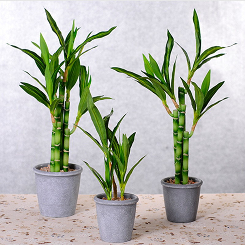 ใหม่ 40 ซม.rFtificial Lucky ไม - Aquarium Plants Book บทวิจารณ์และราคา