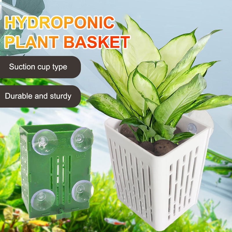 แขวนถ้วยดูด Hook Aquarium Hold - Aquarium Plant Holder บทวิจารณ์และราคา