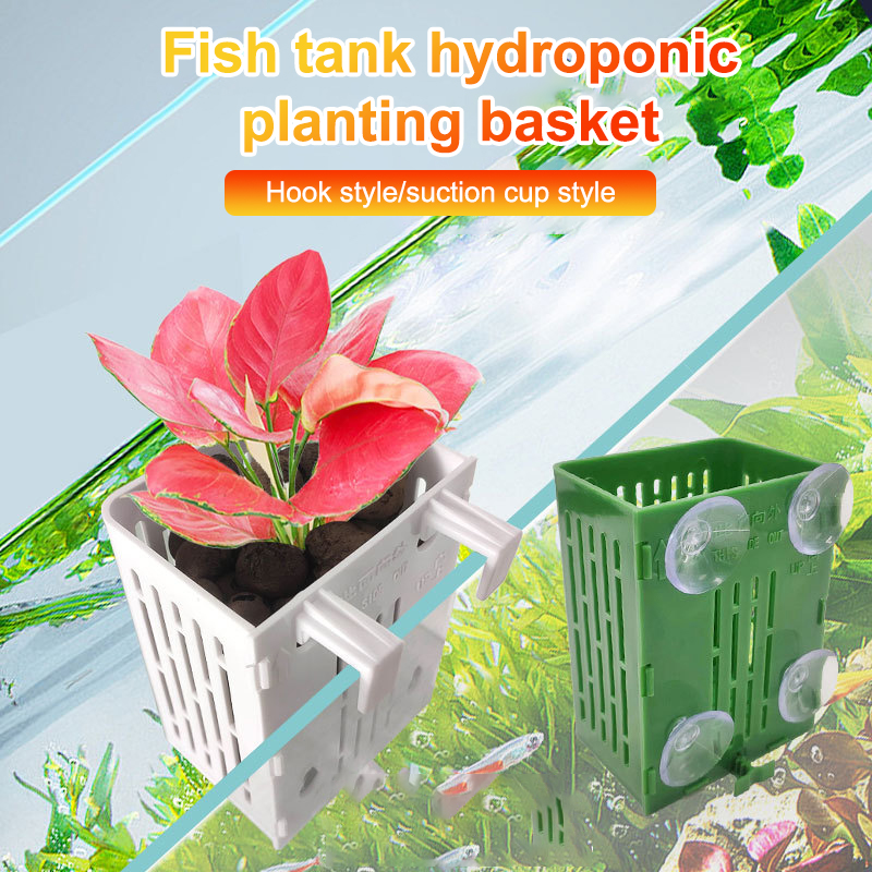แขวนถ้วยดูด Hook Aquarium Hold - Aquarium Plant Holder บทวิจารณ์และราคา