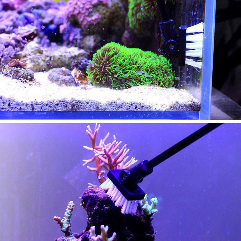 ตกปลาแปรงทําความสะอาดถังน้ําทะ - Planted Aquarium Tools บทวิจารณ์และราคา
