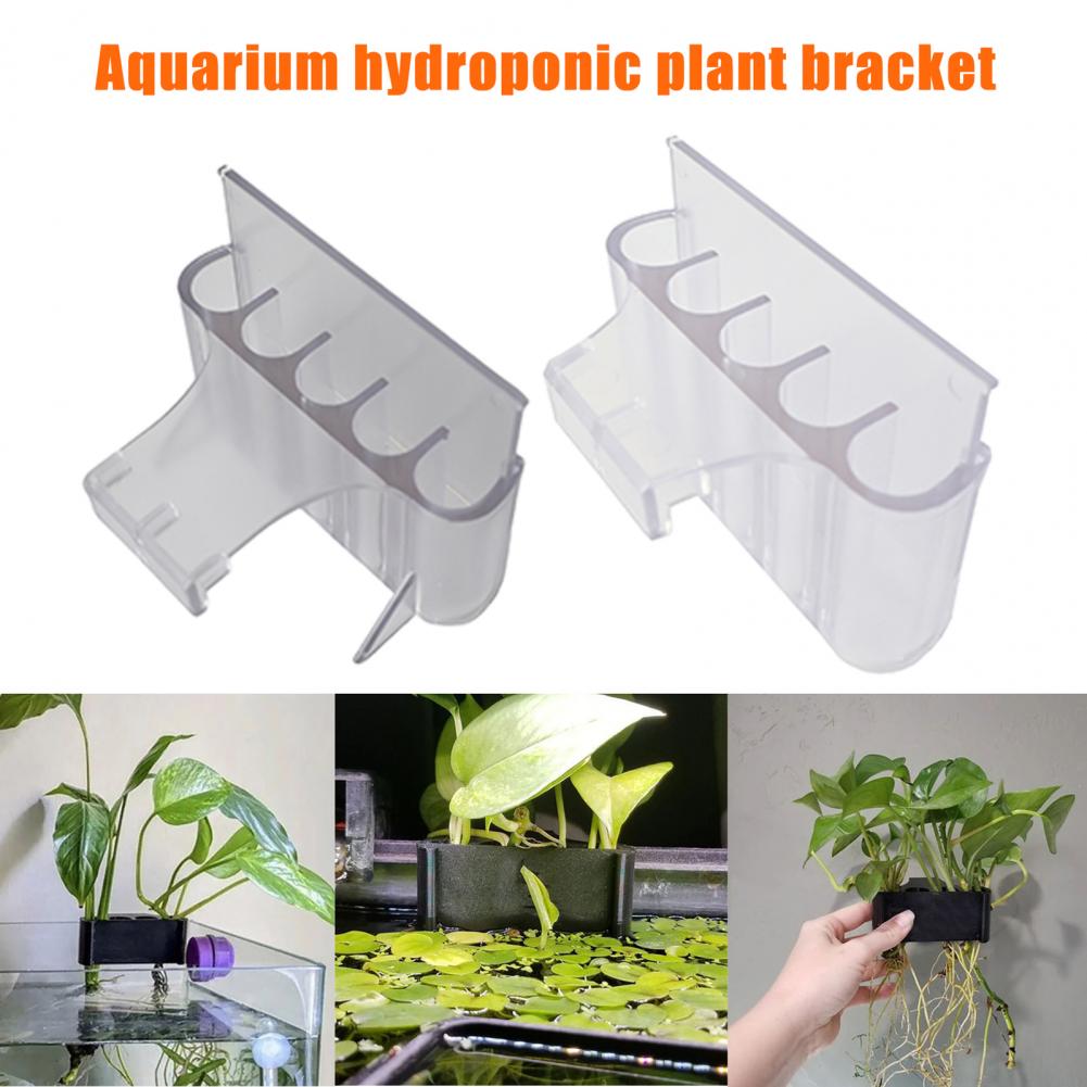 4.5/6.5 ซม.Aquarium Holder ถัง - Aquarium Plant Holder บทวิจารณ์และราคา