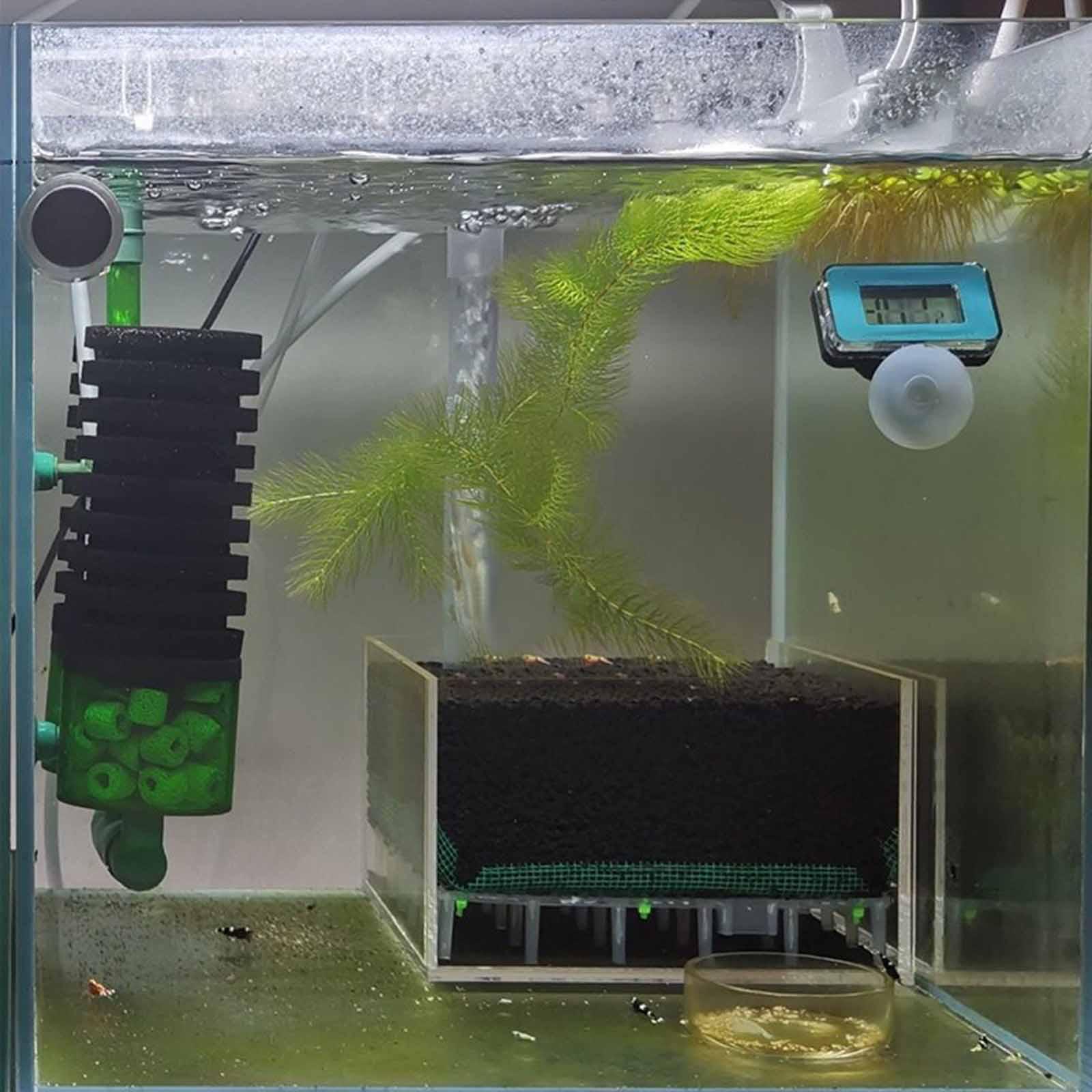 ตู้ปลาอะคริลิคพร้อมกรองใต้กรวด - Planted Aquarium With Gravel บทวิจารณ์และราคา