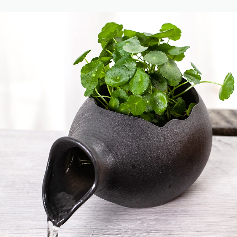 ตู้ปลาเซรามิก กระถางเซรามิกสำห - Planted Aquarium Jar บทวิจารณ์และราคา