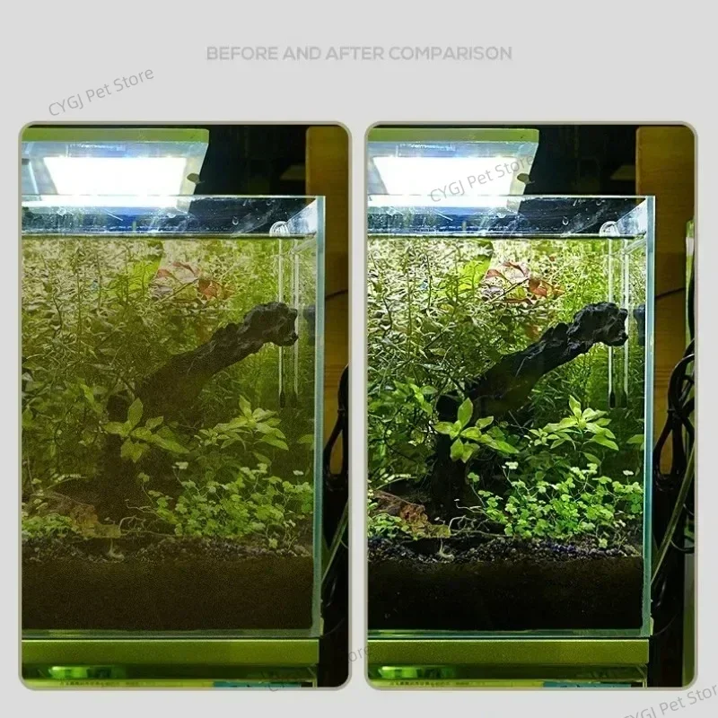 เครื่องมือทําความสะอาดถังปลาแบ - Planted Aquarium Tools บทวิจารณ์และราคา