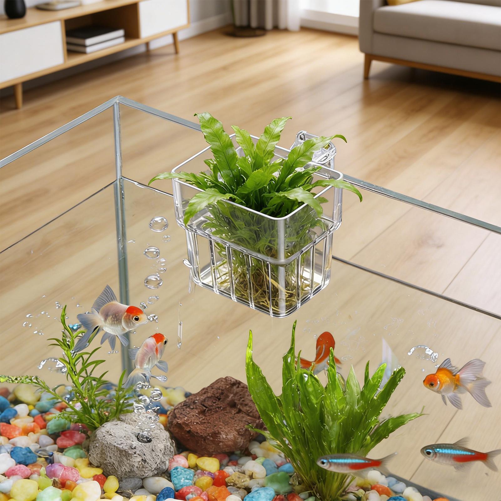 ตะกร้าปลูกต้นไม้แบบติดผนังสำหร - Aquarium Plant Holder บทวิจารณ์และราคา