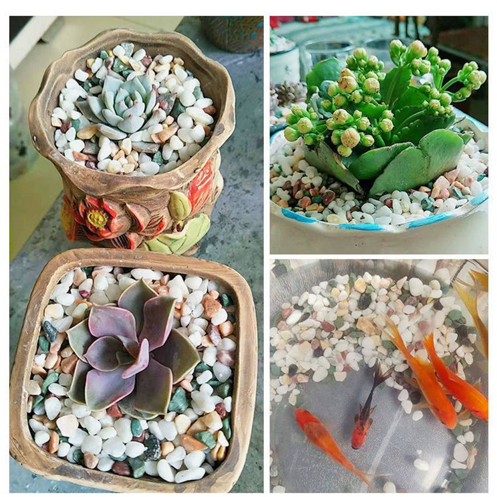 50/100g คริสตัลธรรมชาติกรวดหิน - Planted Aquarium With Gravel บทวิจารณ์และราคา