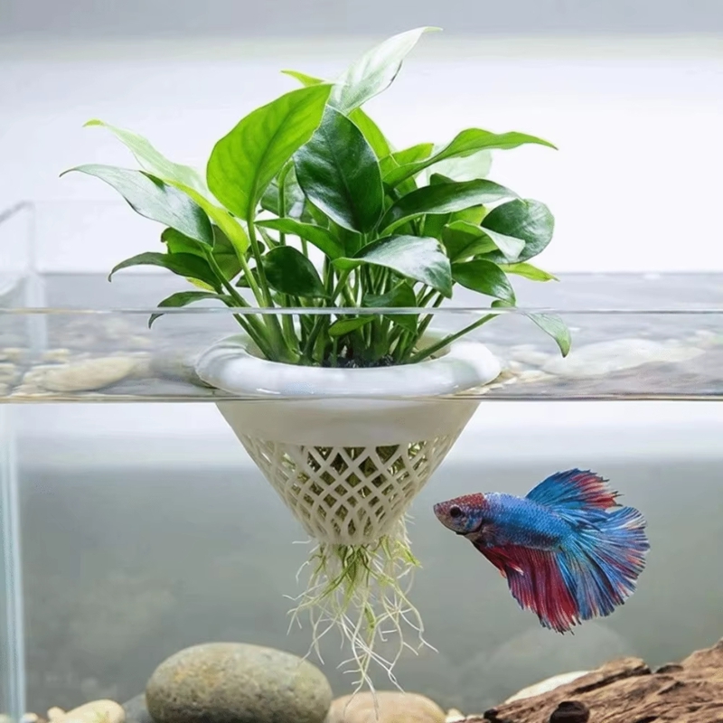 กระถางปลูกพืชน้ำแบบลอยได้, ที่ - Planted Aquarium Jar บทวิจารณ์และราคา