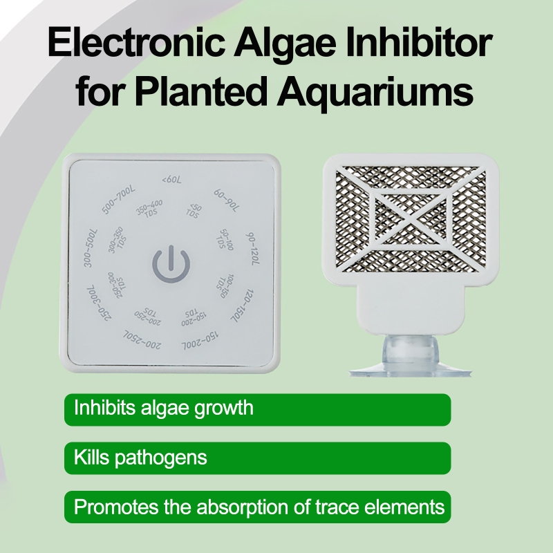 เครื่องมือทำความสะอาดตู้ปลาอิเ - Planted Aquarium Tools บทวิจารณ์และราคา