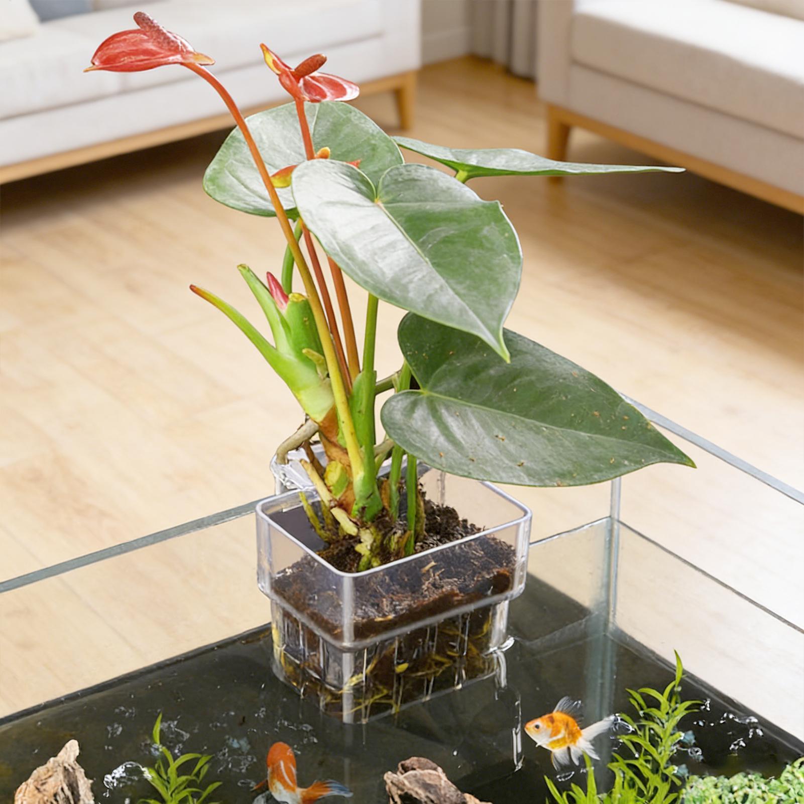 ตะกร้าปลูกต้นไม้ในตู้ปลา กระถา - Aquarium Plant Holder บทวิจารณ์และราคา