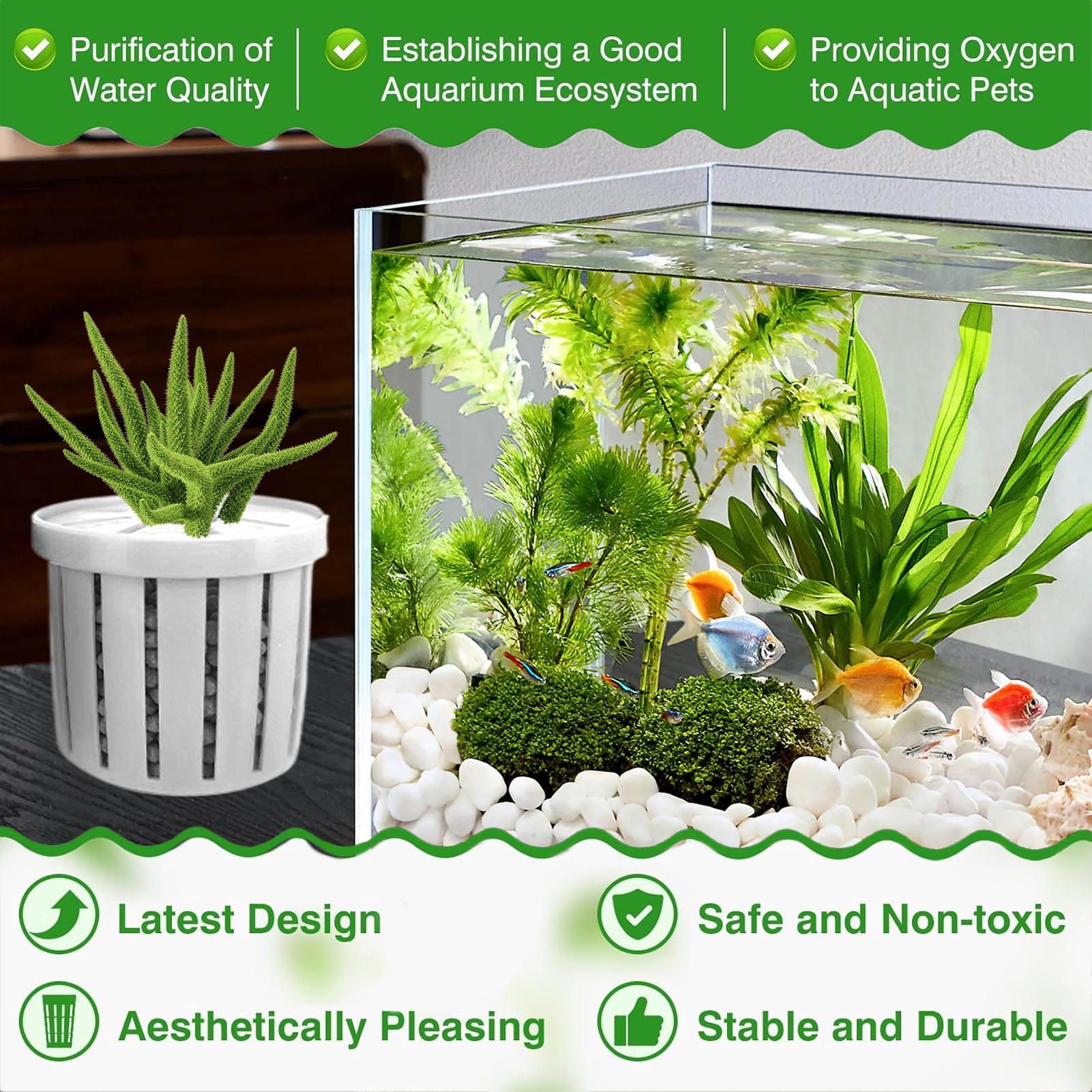 กระถางปลูกต้นไม้ในตู้ปลา 4 ชิ้ - Aquarium Plant Holder บทวิจารณ์และราคา