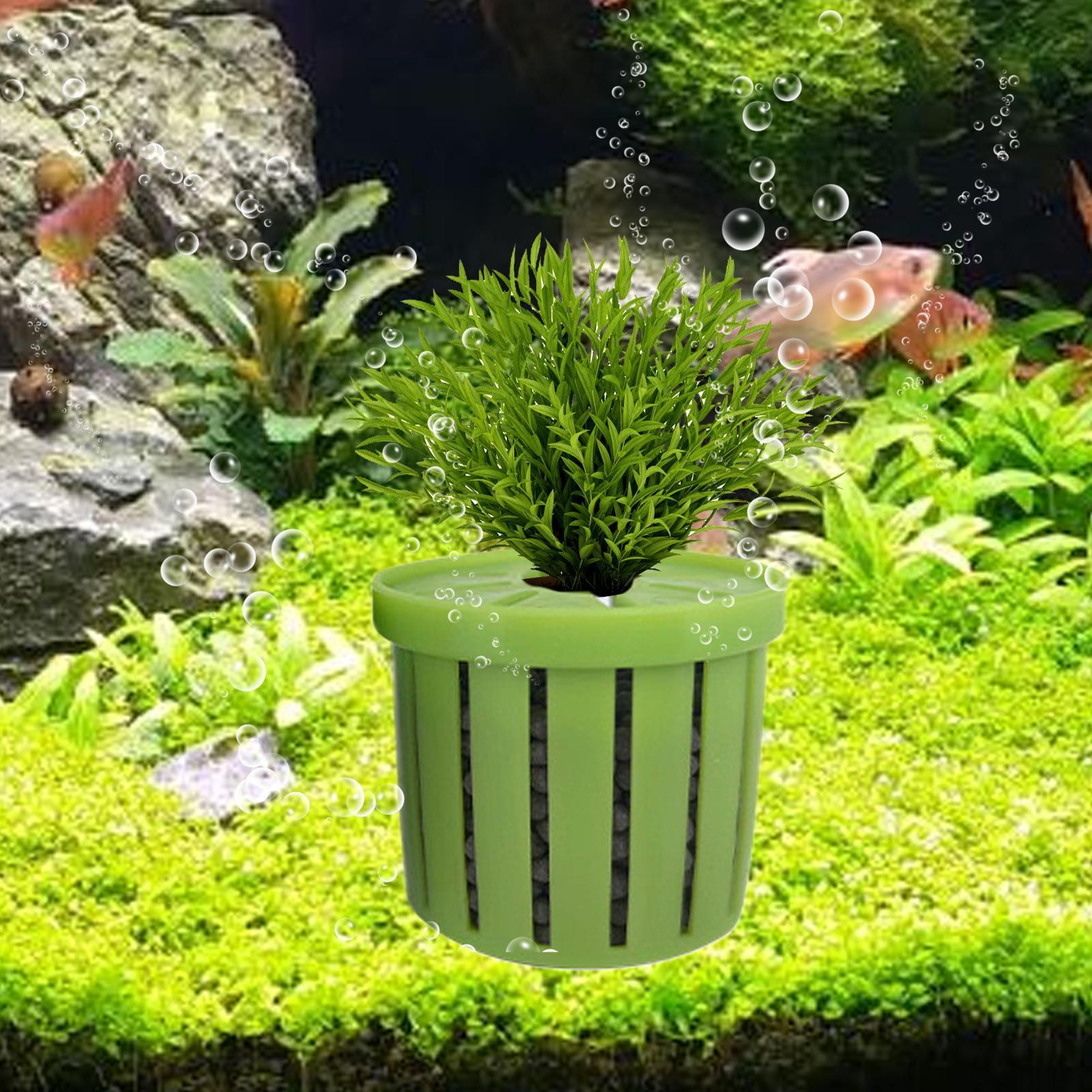 กระถางปลูกต้นไม้ในตู้ปลา 4 ชิ้ - Aquarium Plant Holder บทวิจารณ์และราคา