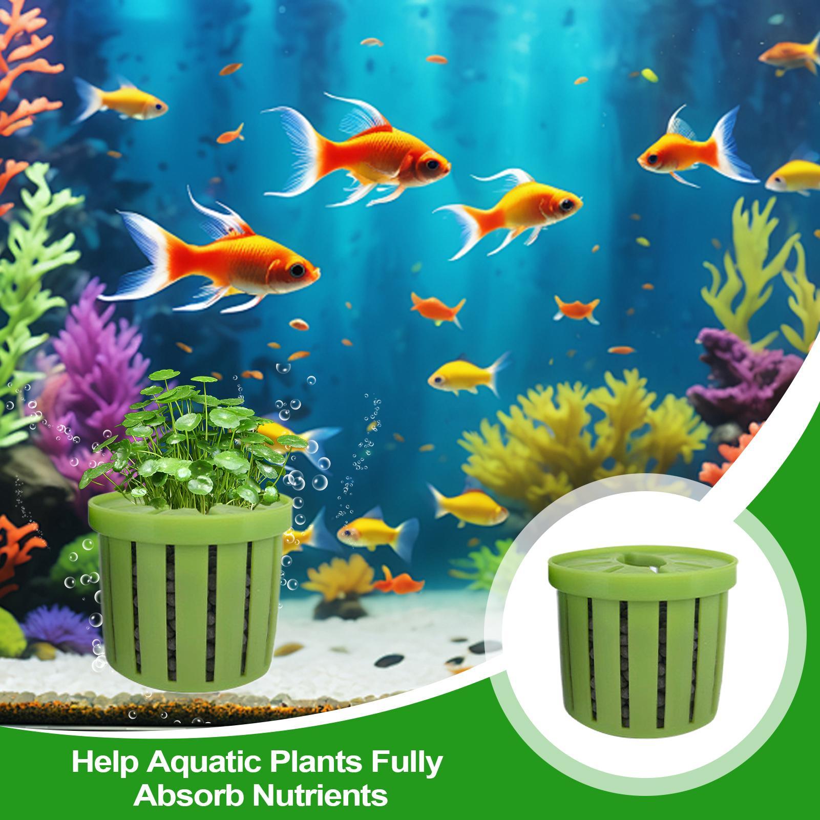 กระถางปลูกต้นไม้ในตู้ปลา 4 ชิ้ - Aquarium Plant Holder บทวิจารณ์และราคา