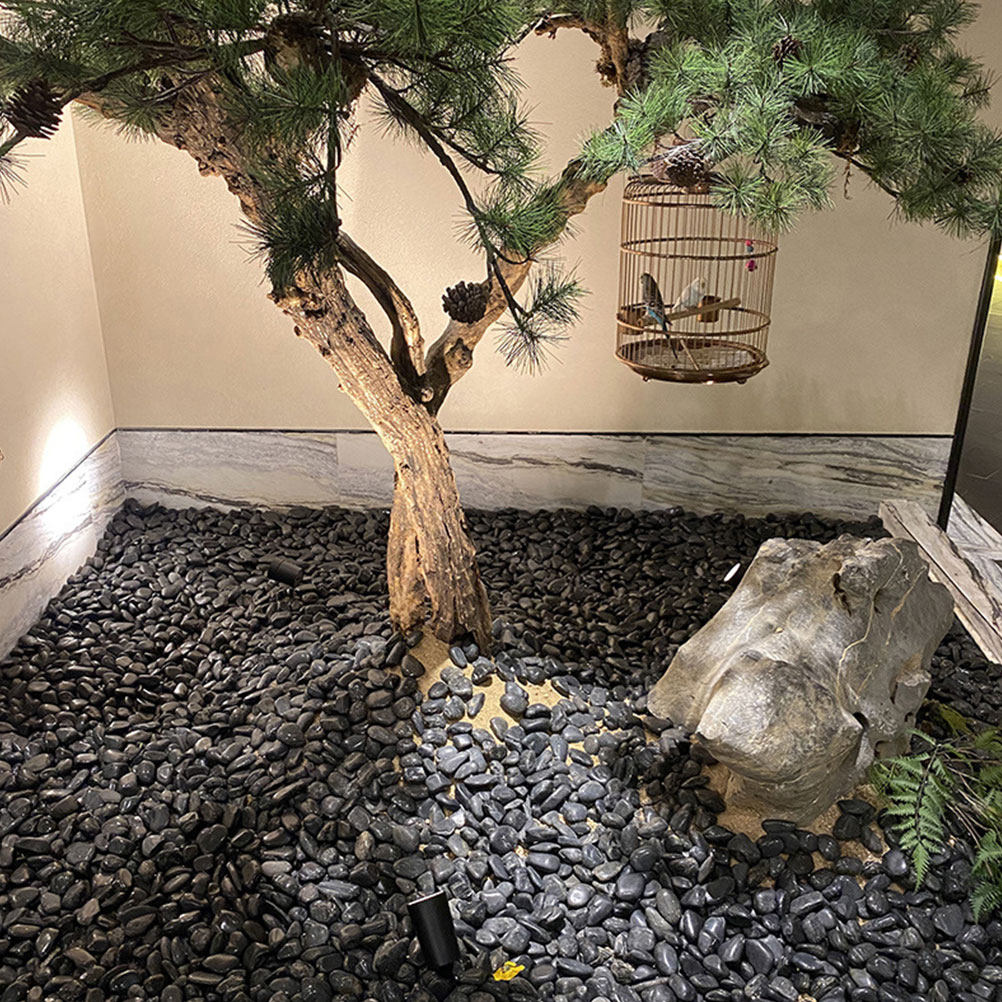 1 ชุดหินกรวดตกแต่งตู้ปลา หินจั - Planted Aquarium With Gravel บทวิจารณ์และราคา