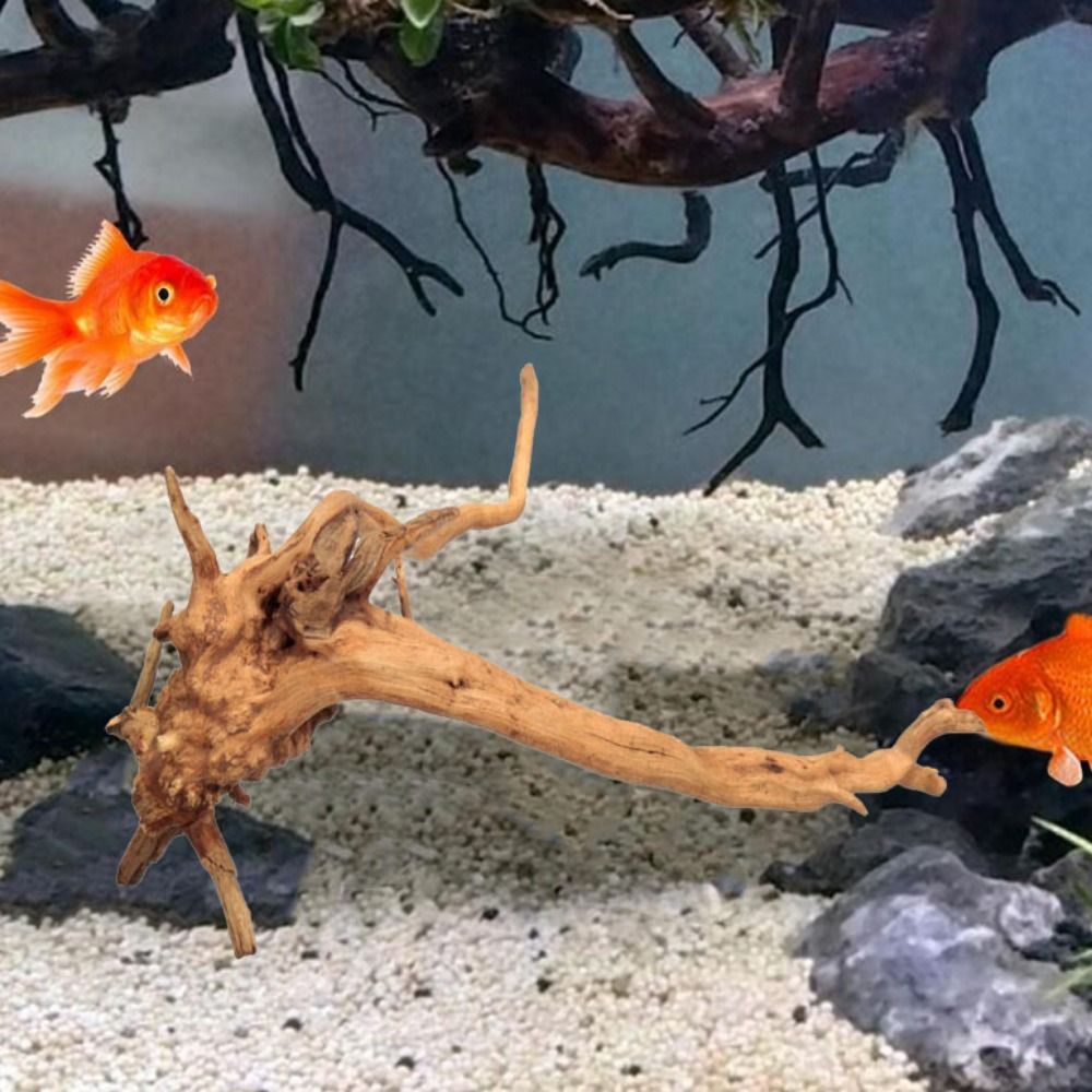 ลำต้นของต้นไม้ธรรมชาติตกแต่งงา - Planted Aquarium Media บทวิจารณ์และราคา