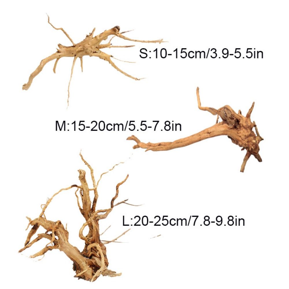 ลำต้นของต้นไม้ธรรมชาติตกแต่งงา - Planted Aquarium Media บทวิจารณ์และราคา