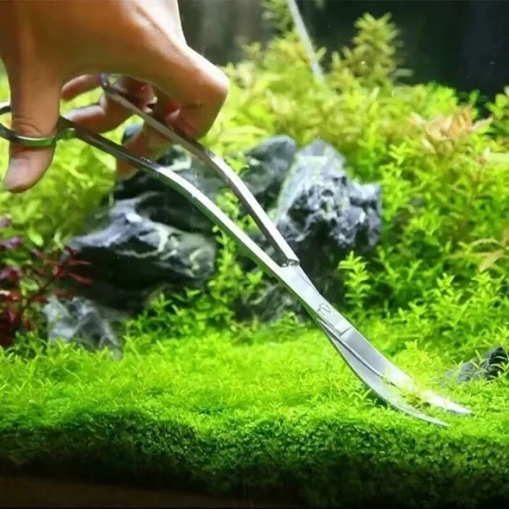 กรรไกรตัดหญ้าในตู้ปลา สแตนเลส  - Planted Aquarium Tools บทวิจารณ์และราคา