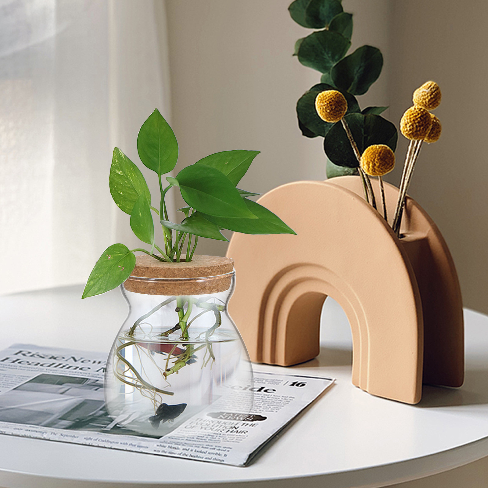 โหลแก้วสำหรับเพาะเลี้ยงสัตว์เล - Planted Aquarium Jar บทวิจารณ์และราคา
