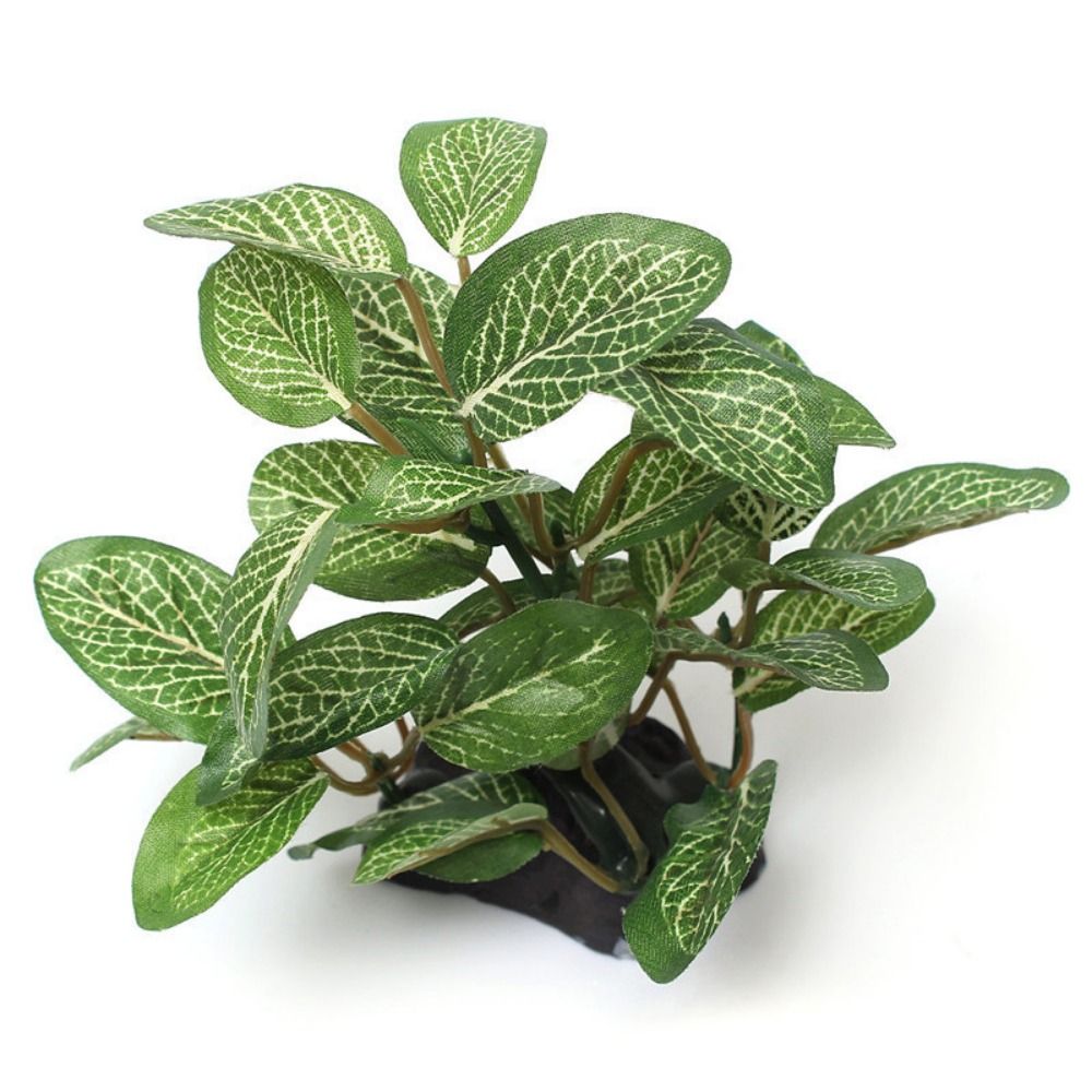 ต้นไม้ประดิษฐ์สีเขียวเหมือนจริ - Planted Aquarium Jar บทวิจารณ์และราคา