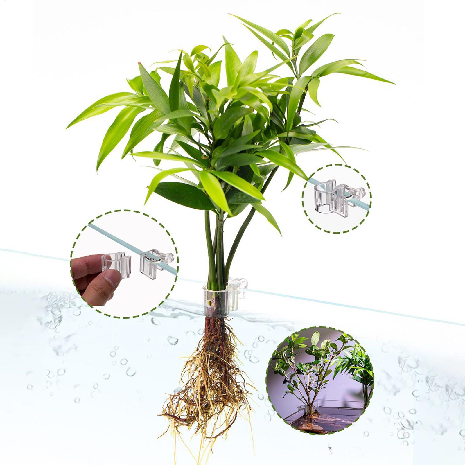 กระถางปลูกต้นไม้ในตู้ปลาขนาดเล - Aquarium Plant Holder บทวิจารณ์และราคา
