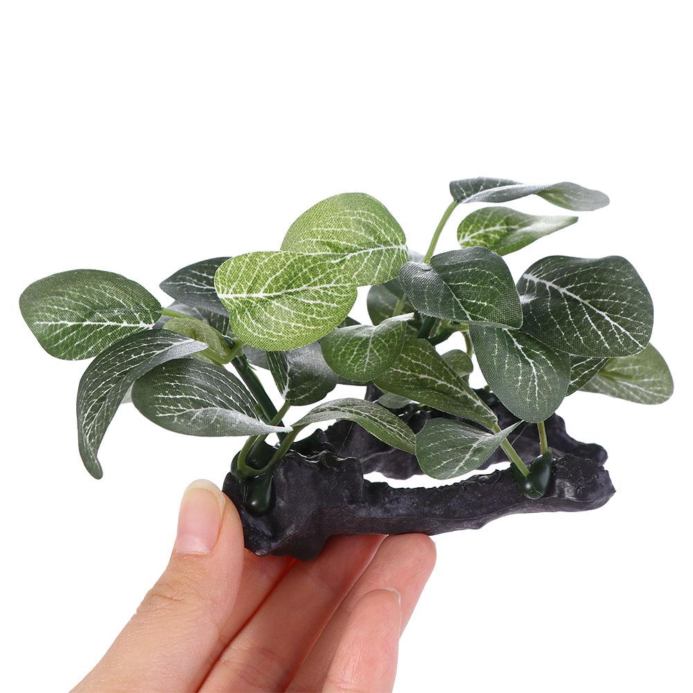 ตกแต่งผ้าไหมที่สมจริงใต้น้ําสํ - Planted Aquarium Jar บทวิจารณ์และราคา
