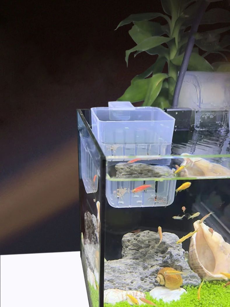 ตะกร้าปลูกพืชไฮโดรโปนิกส์แบบใส - Aquarium Plant Holder บทวิจารณ์และราคา