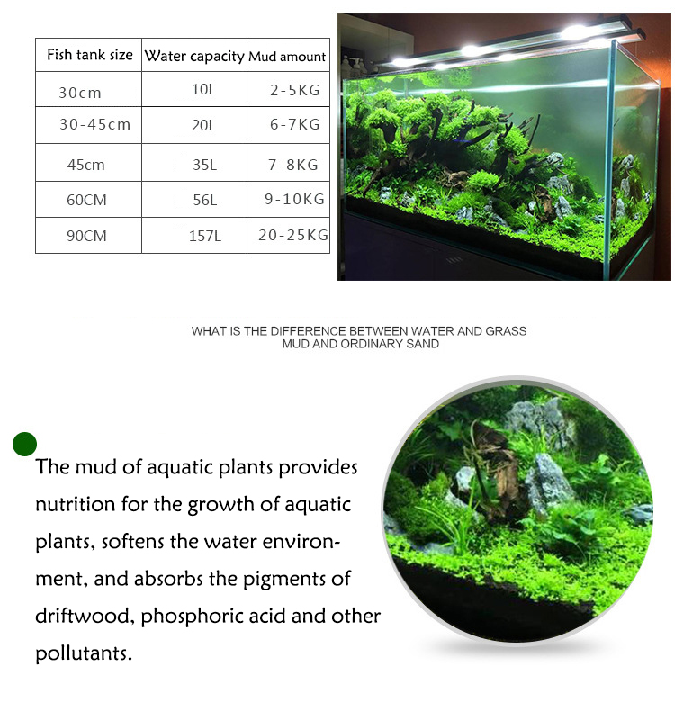 พิพิธภัณฑ์สัตว์น้ำเมล็ดพืชดิน  - Aquarium Plants Book บทวิจารณ์และราคา